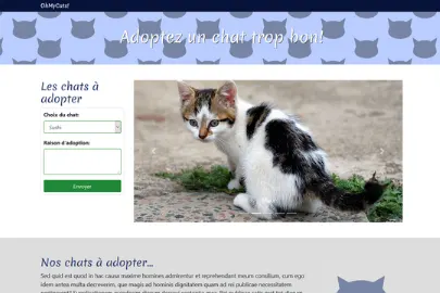screen shot of OhMyCats website